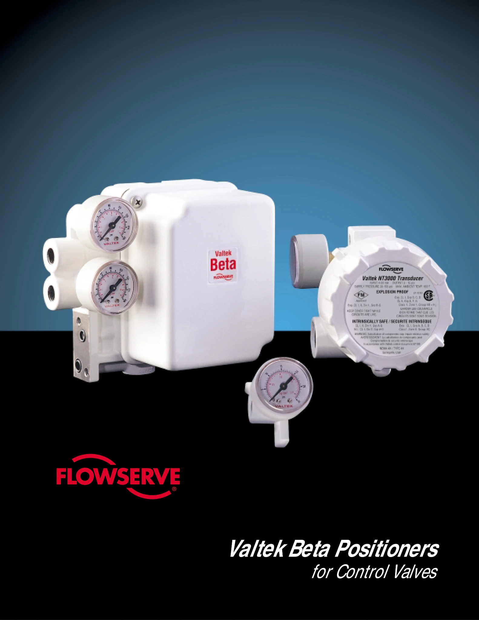 Valtek Beta定位器技术手册